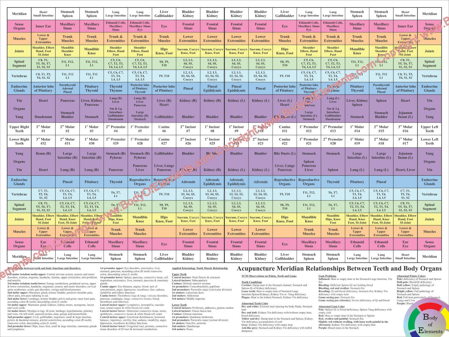 Dental Acupuncture Poster