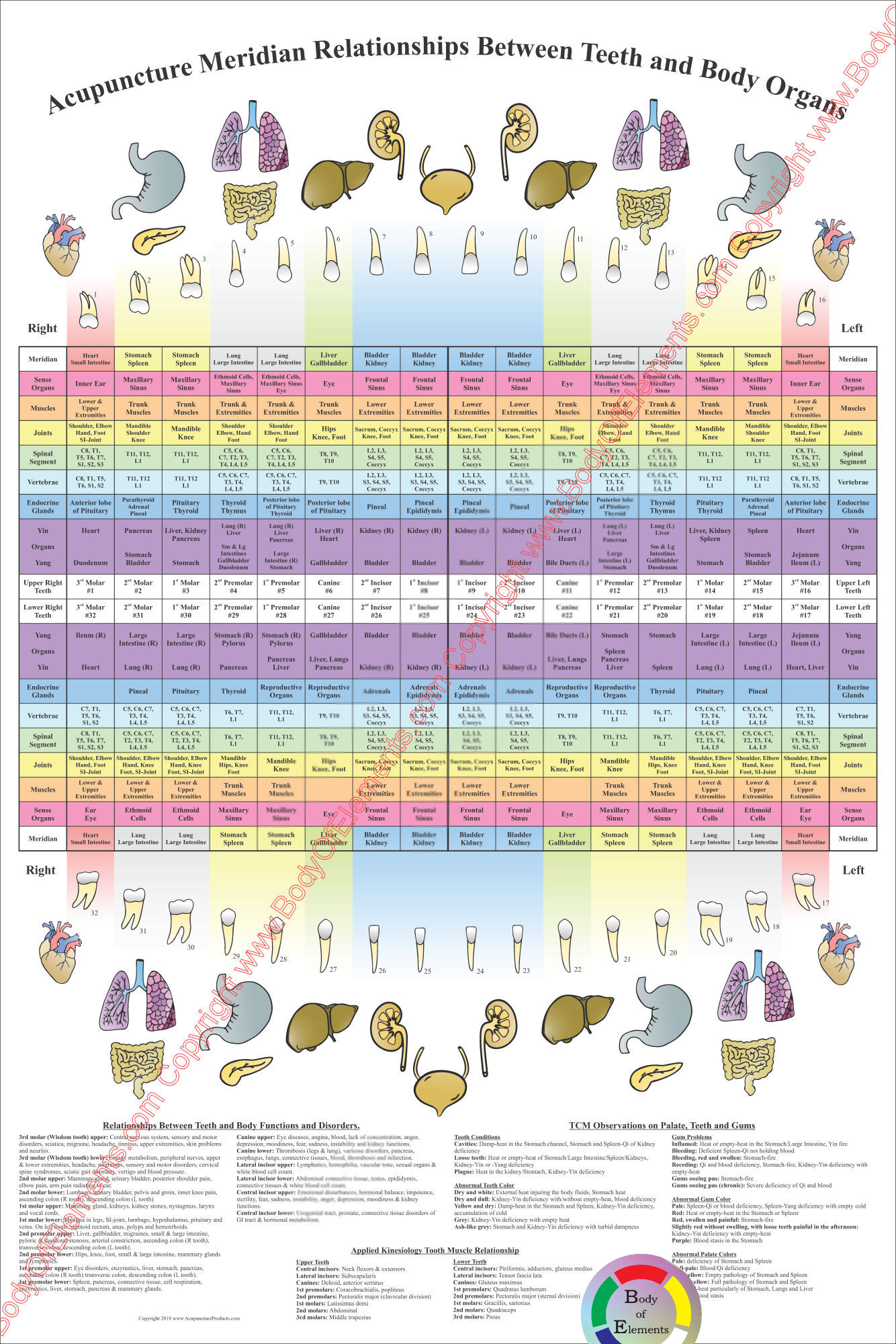 Dental Acupuncture Poster