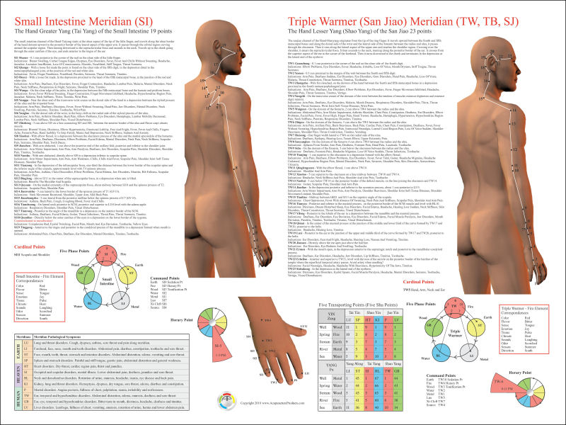 Small Intestine Acupuncture Meridian