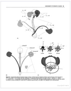 Assessment of the Spine