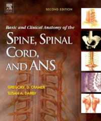 Basic and Clinical Anatomy of the Spine, Spinal Cord, and ANS