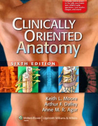 Clinically Oriented Anatomy