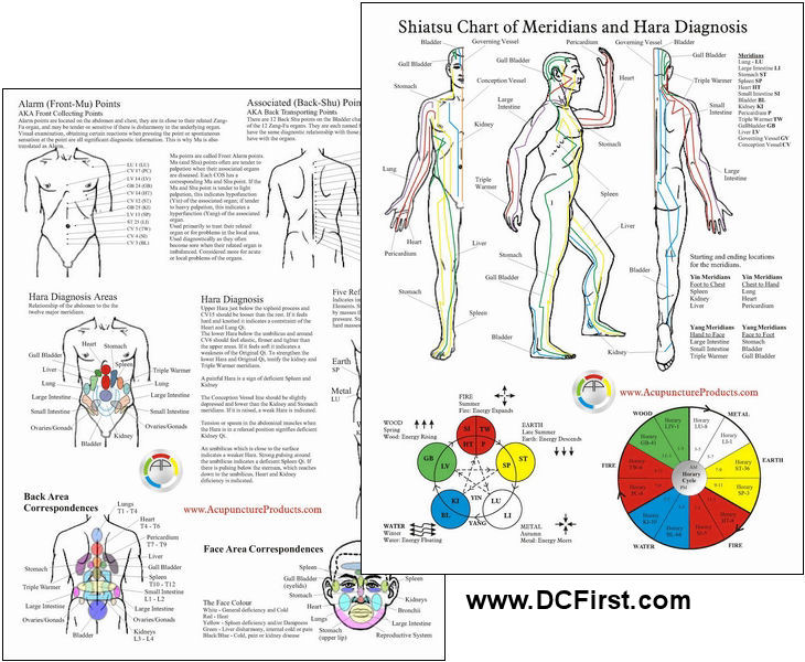 Shiatsu Chart of Meridians and Hara Diagnosis