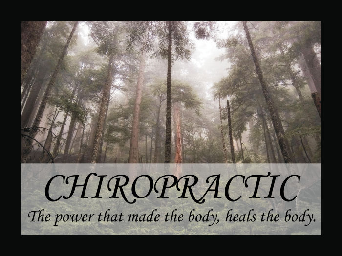 Chiropractic Quotation