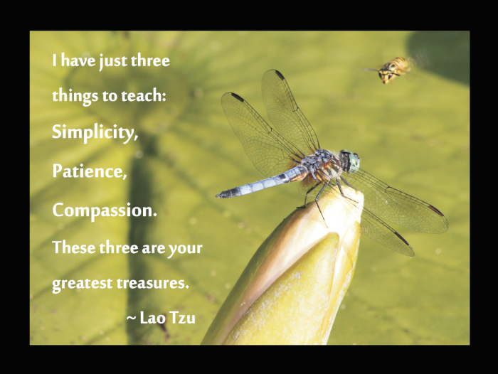 Lao Tzu Quote