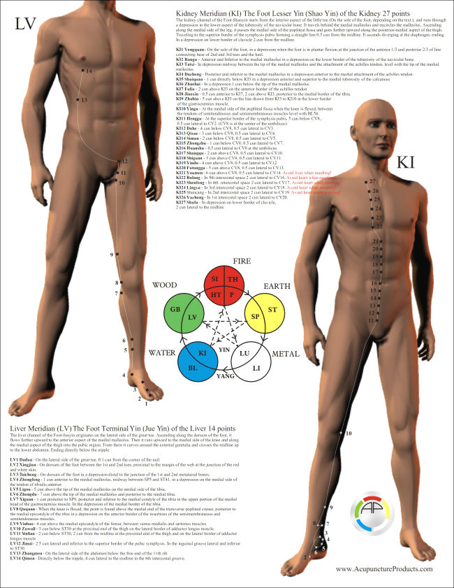 Acupuncture Point Location Study Charts