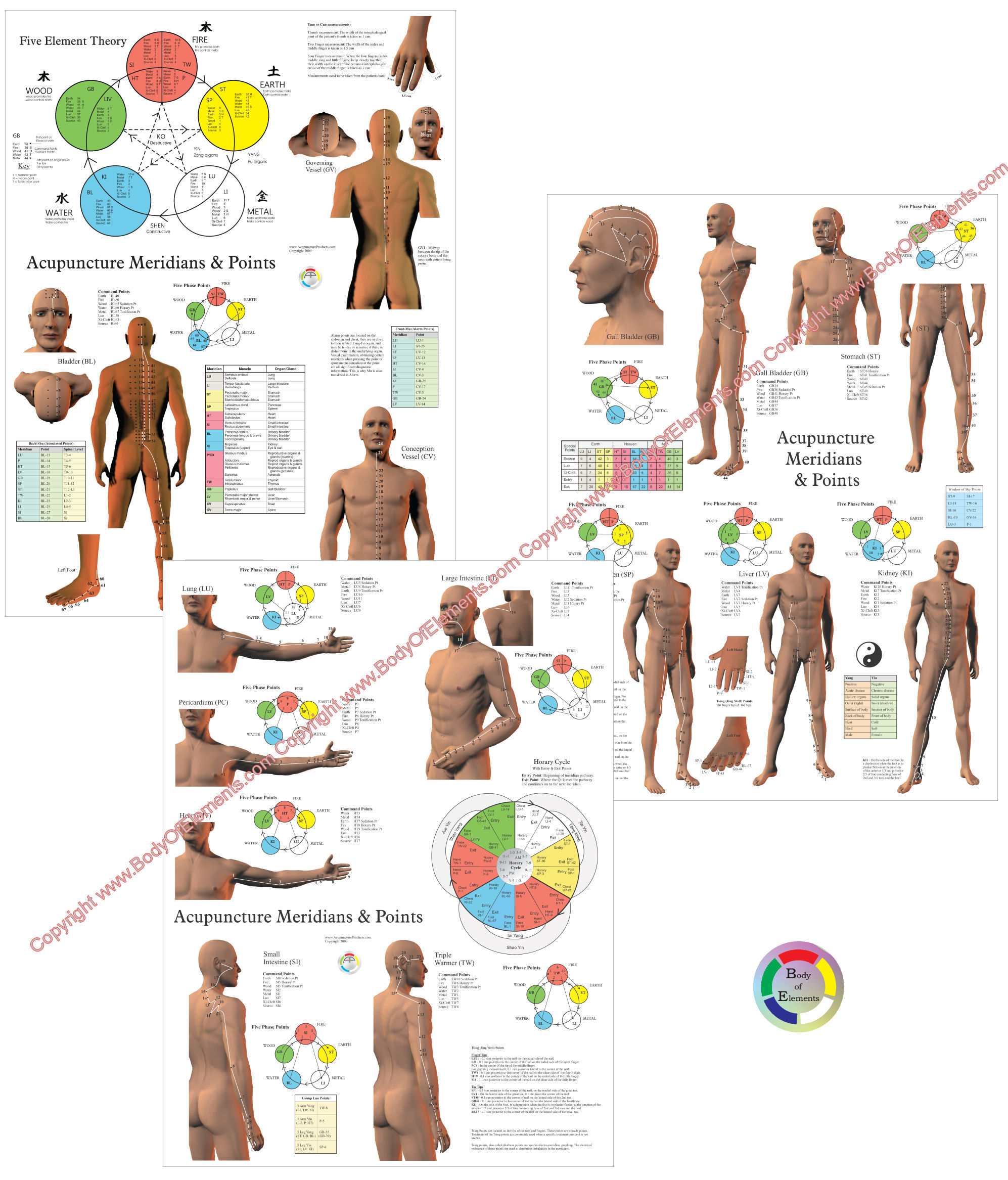 Acupuncture Meridian Points