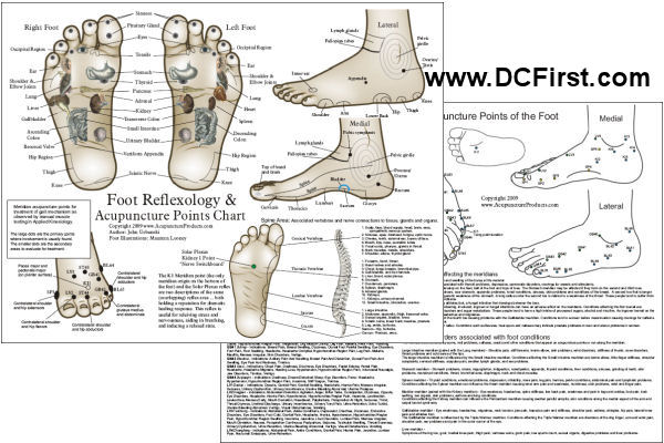 Foot Reflexology Chart