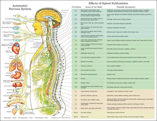 ANS Vertebral Spinal Subluxation Symptoms Pad