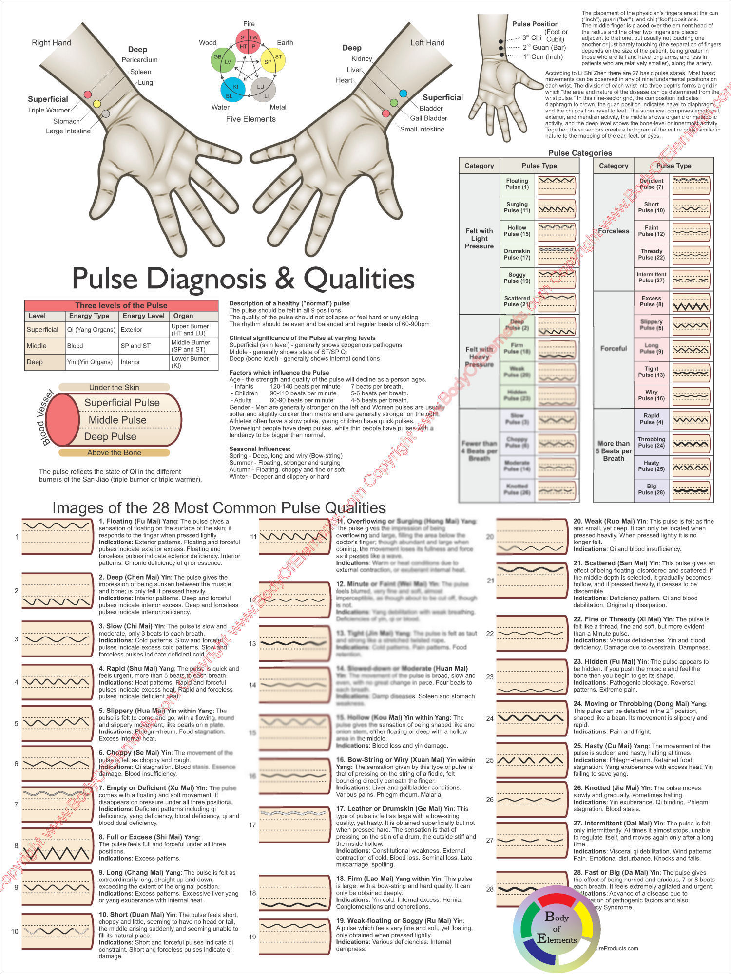 Pulse Diagnosis Poster