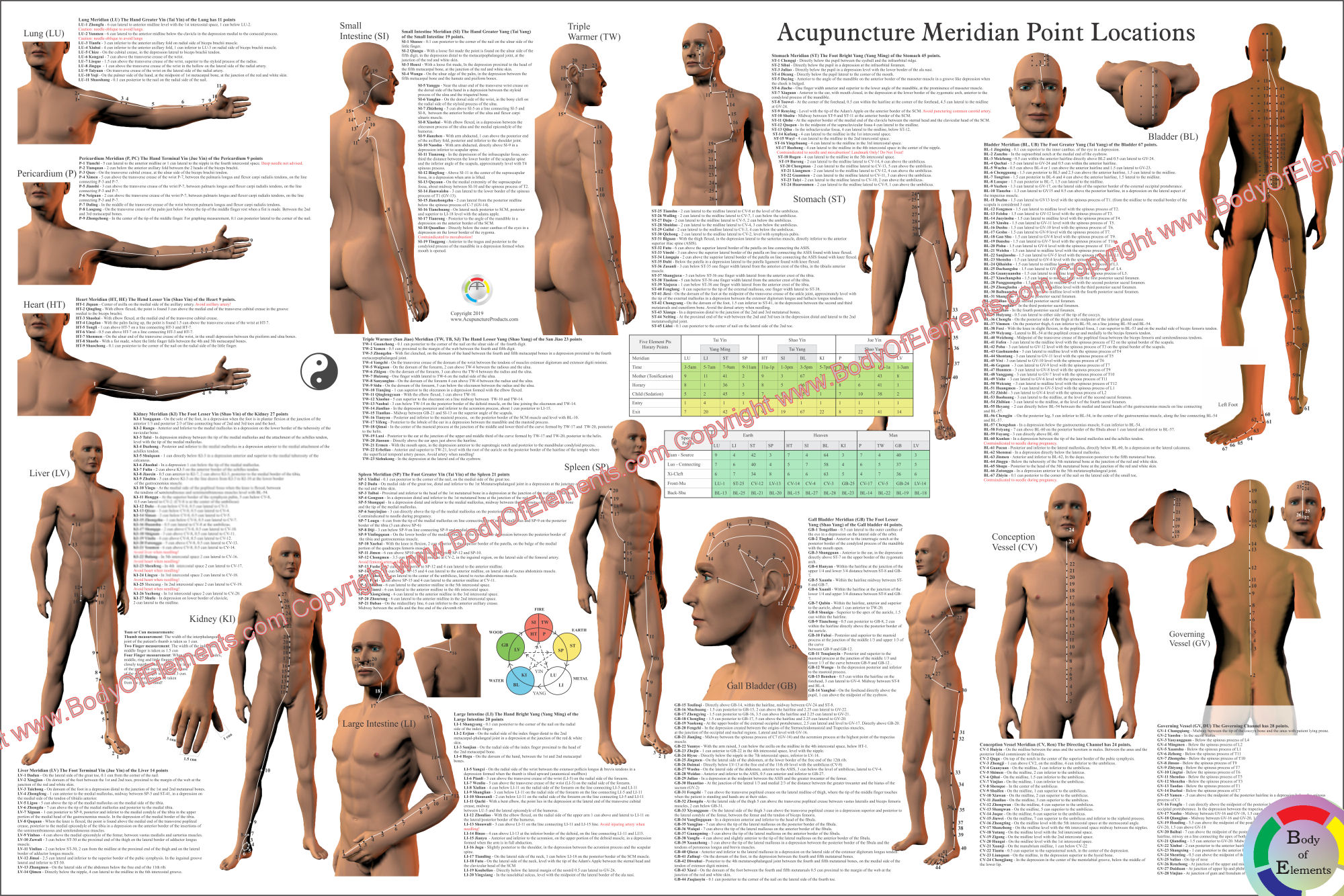 Acupuncture Points