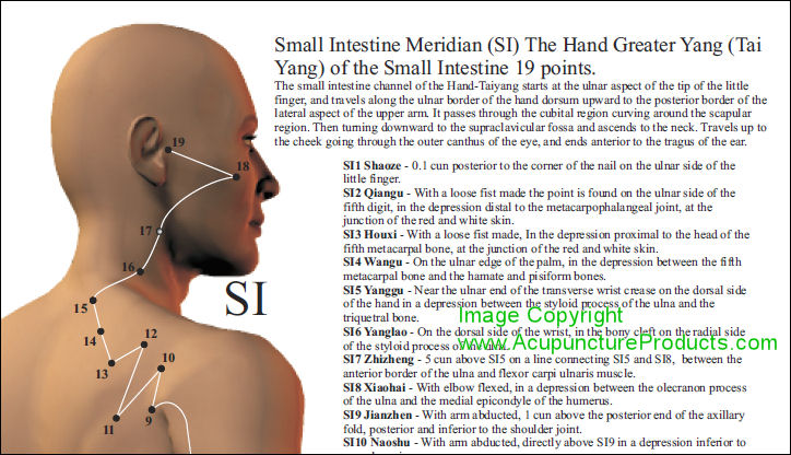 Acupuncture Points