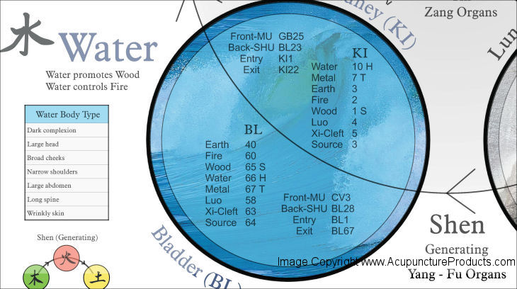 Five Elements Acupuncture Poster