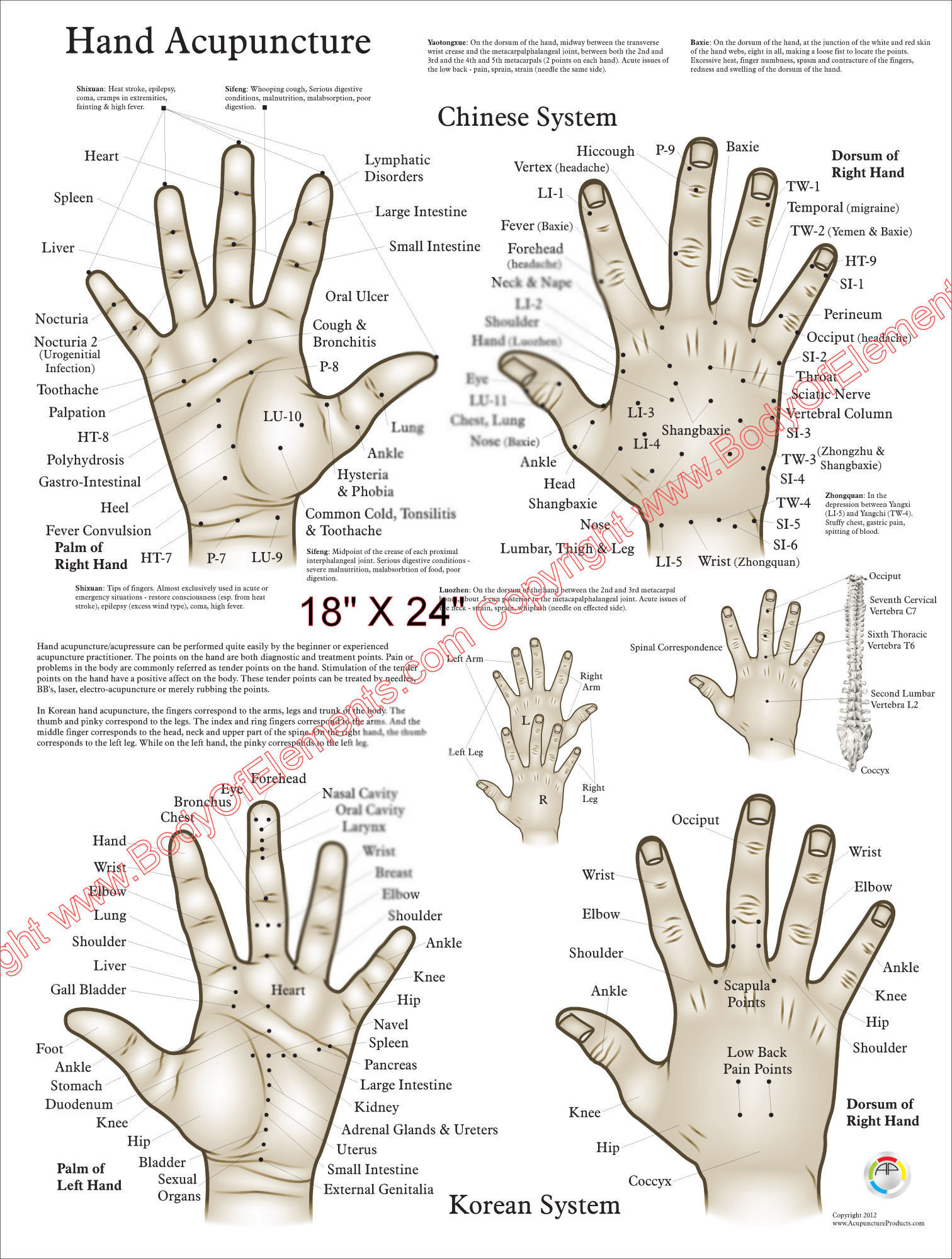 Chinese Hand Acupuncture Poster