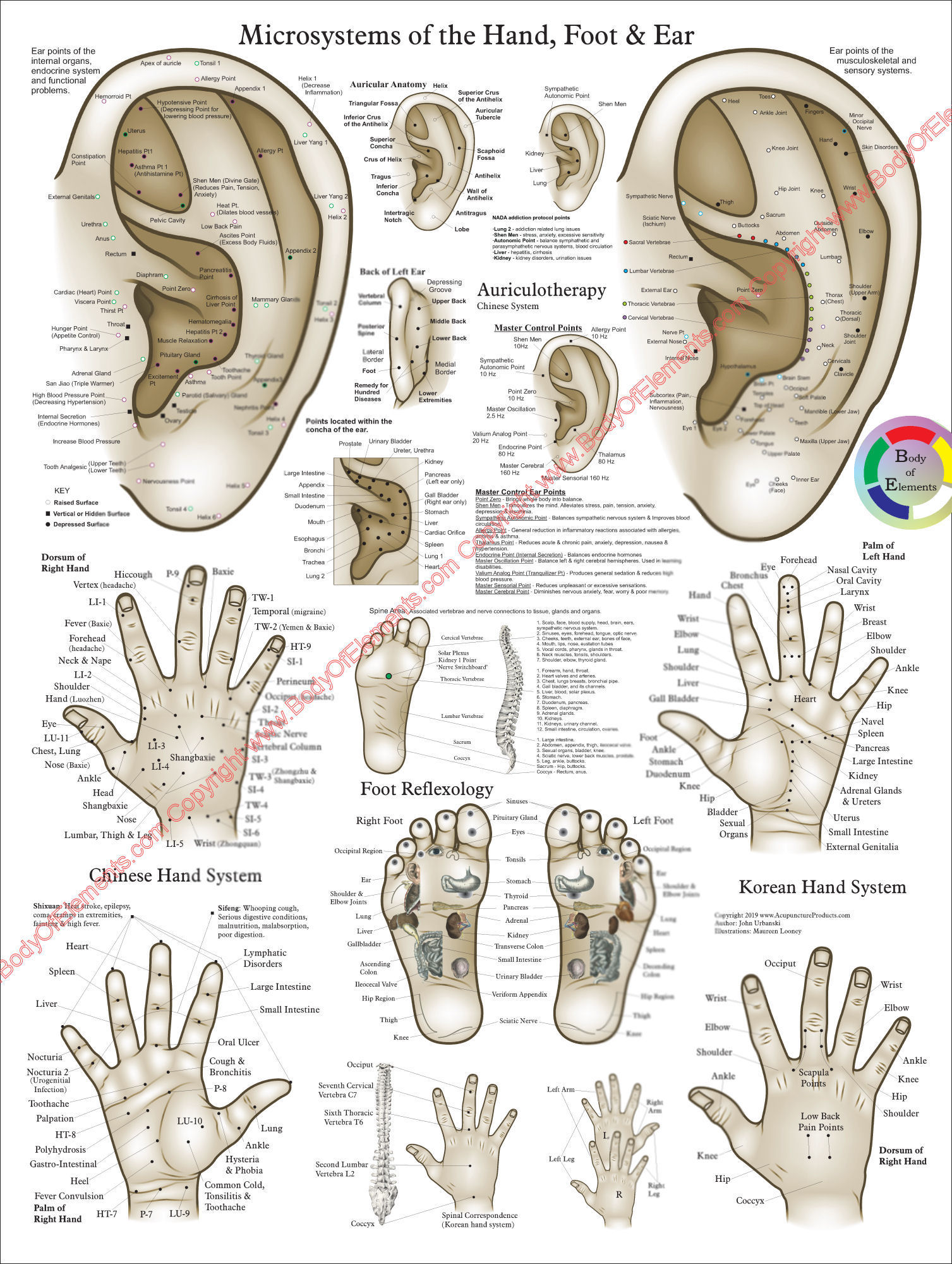 Acupuncture Microsystem Poster