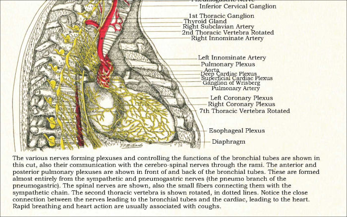 Osteopathic Poster