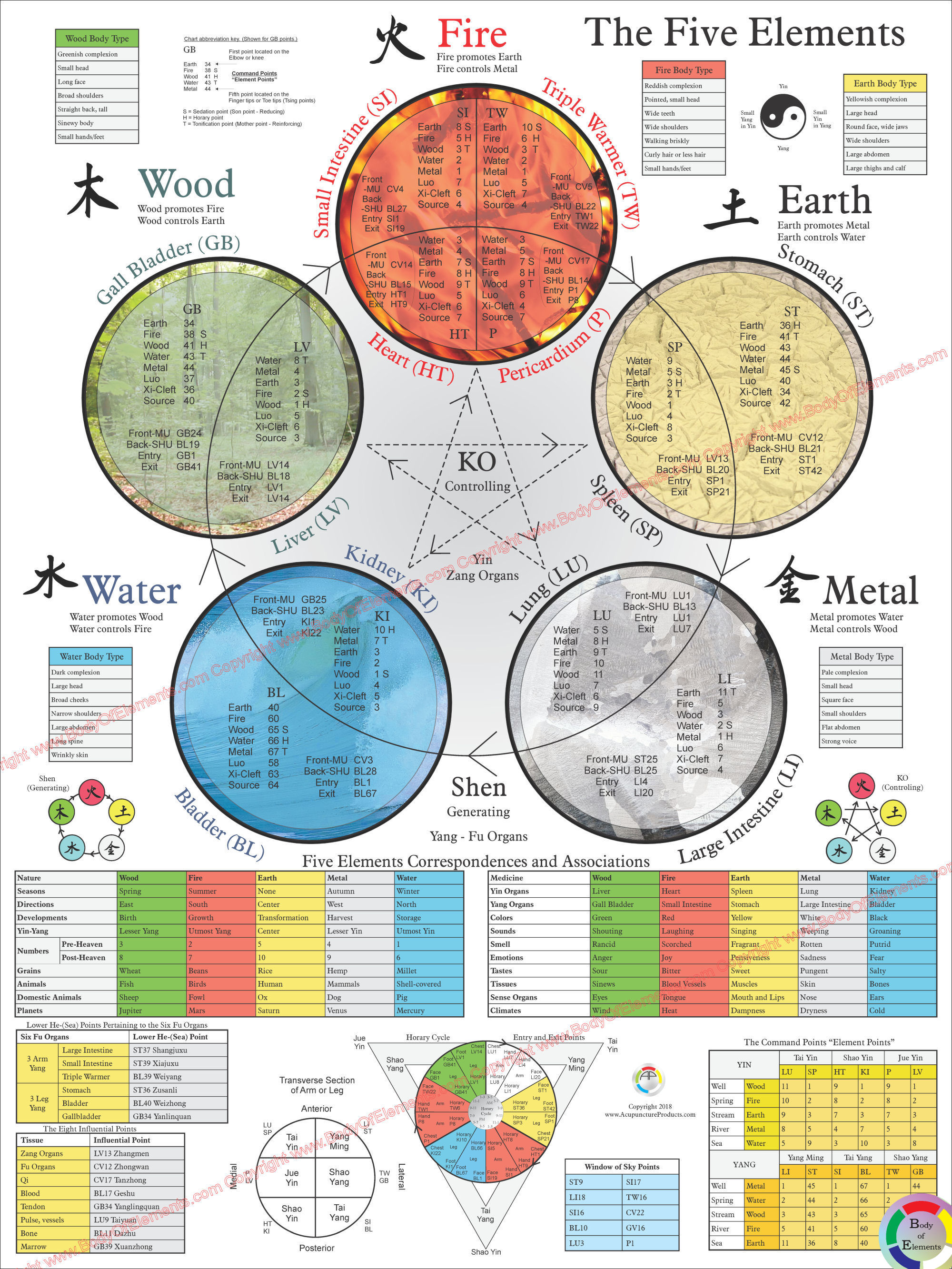 Five Elements Acupuncture Poster