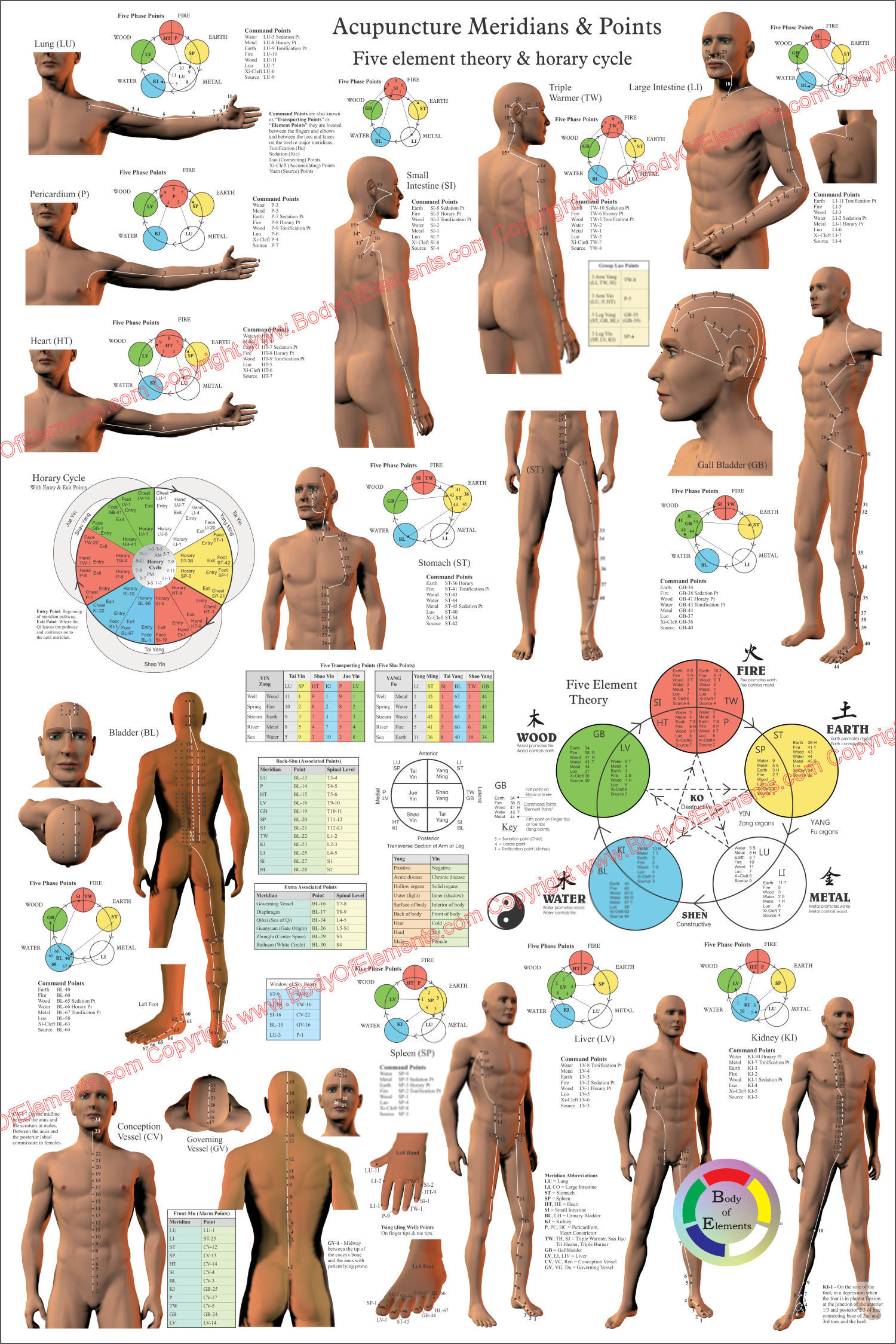 Acupuncture Meridian Points