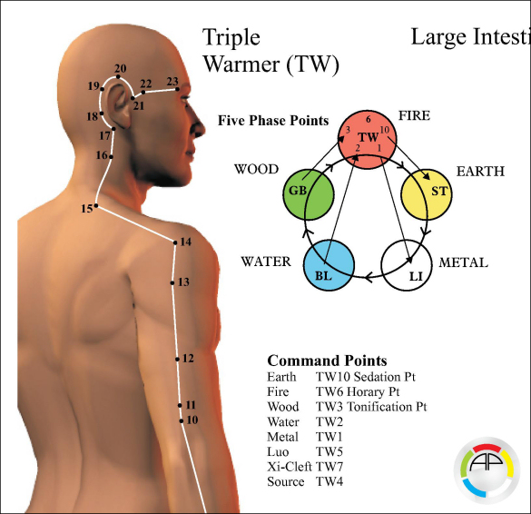 Acupuncture Meridian Points